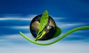 TRANSFORMAÇÃO MUNDIAL