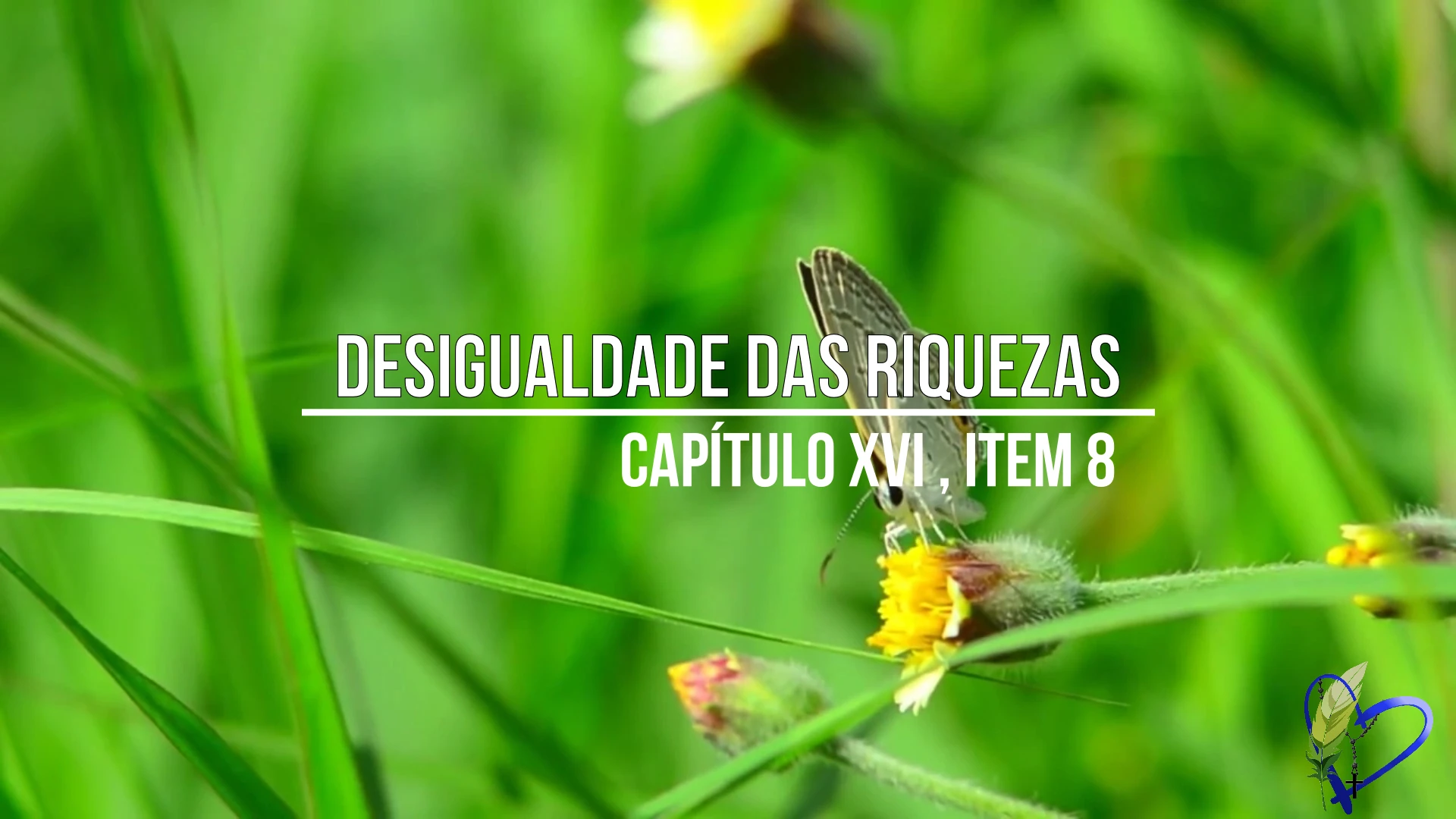 Desigualdade das Riquezas