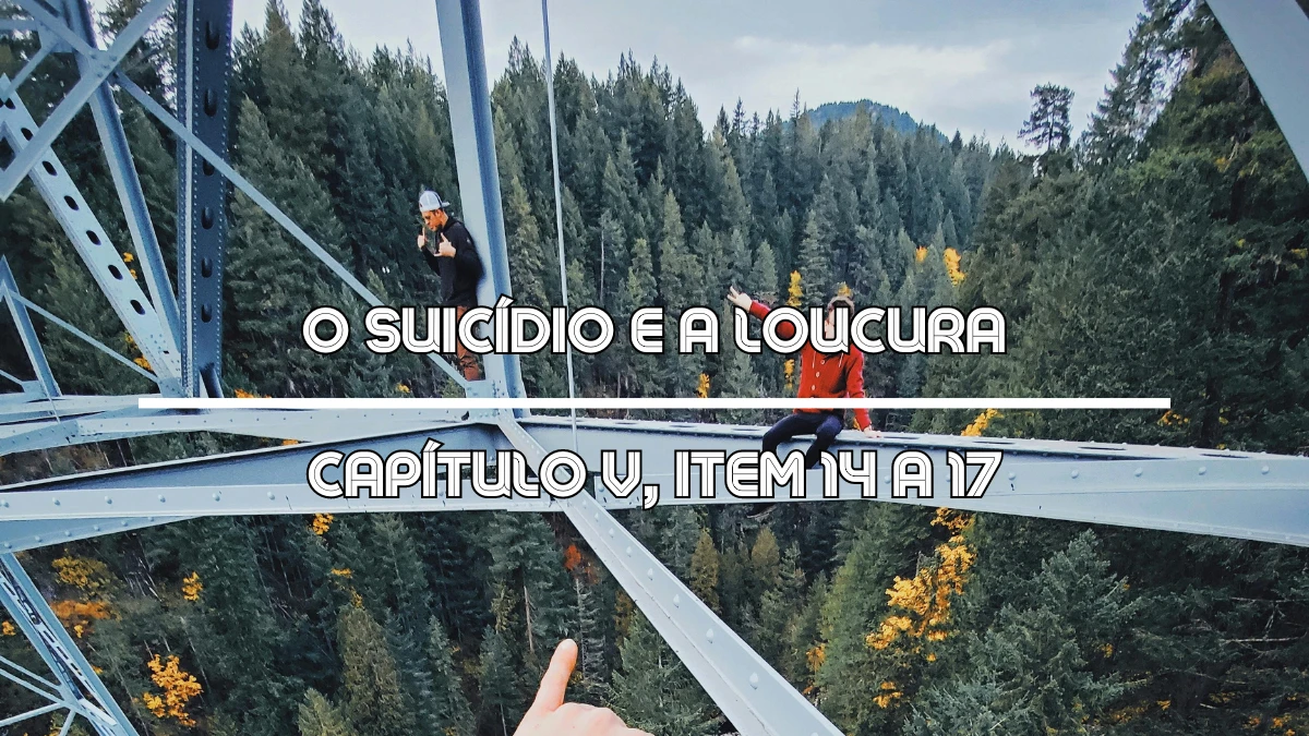 O Suicídio e a Loucura